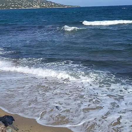 2 Pieces, Terrasse Vue Mer, Proche - Fr-1-226-565 * Sainte-Maxime